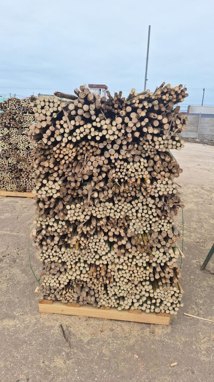 coligue para mineria