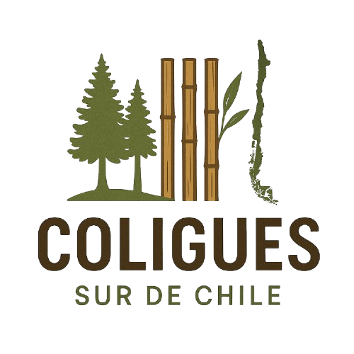 Logo ColigueSur