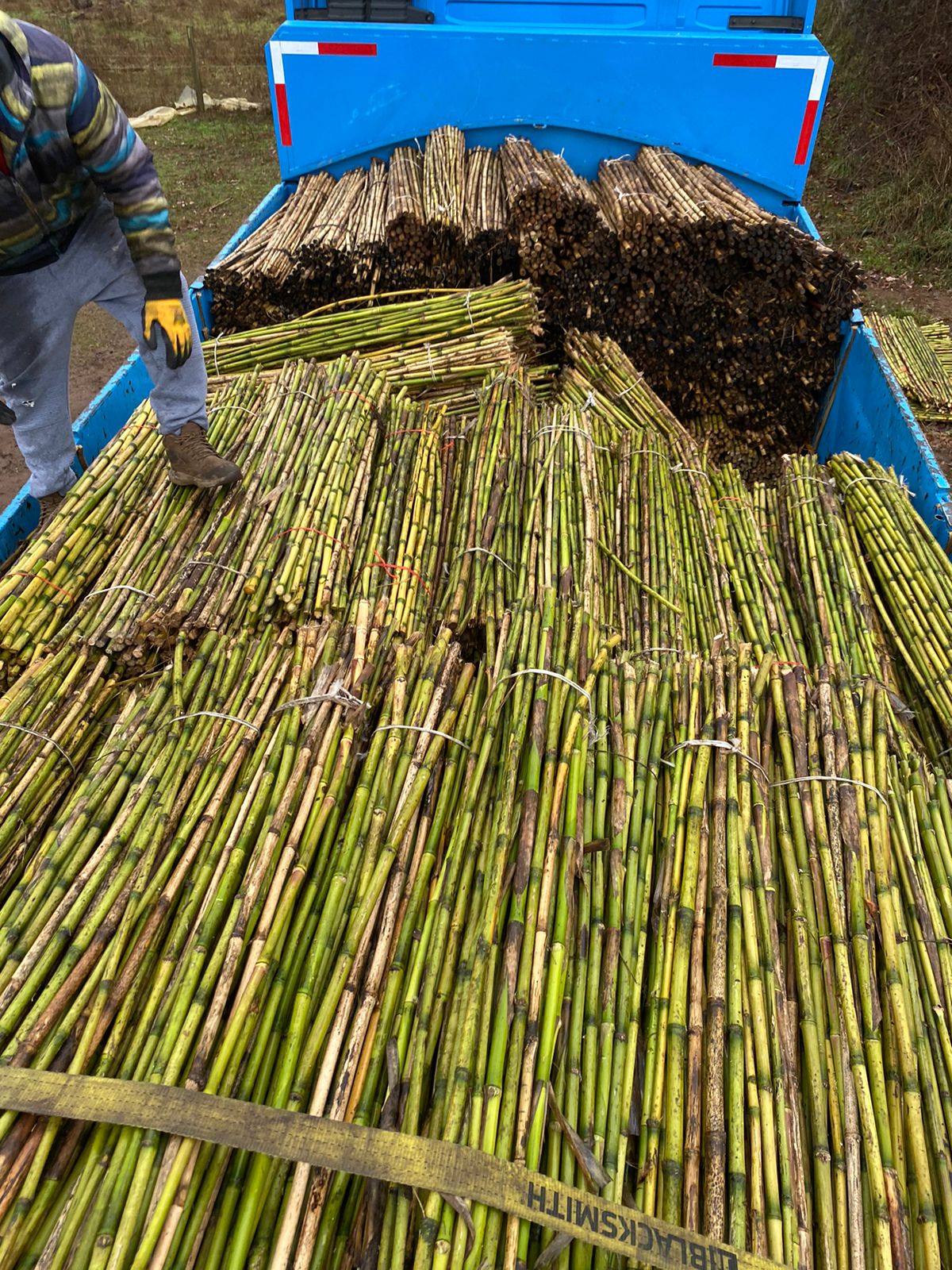 Proyecto de minería con coligues