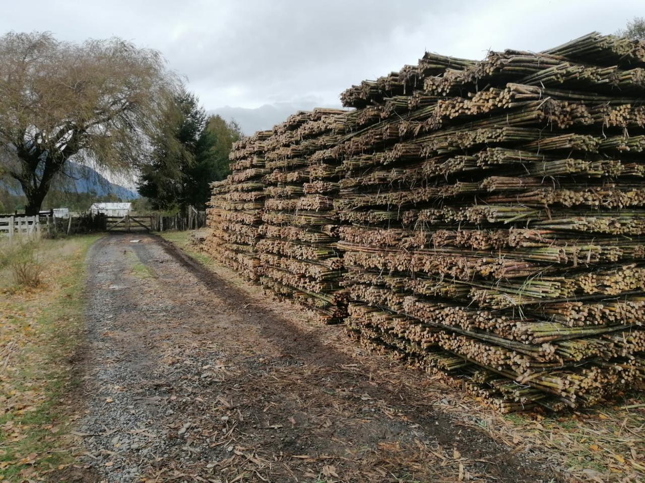 Cerco perimetral con coligues
